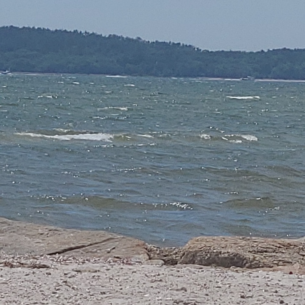 Meet your Posher, Renee